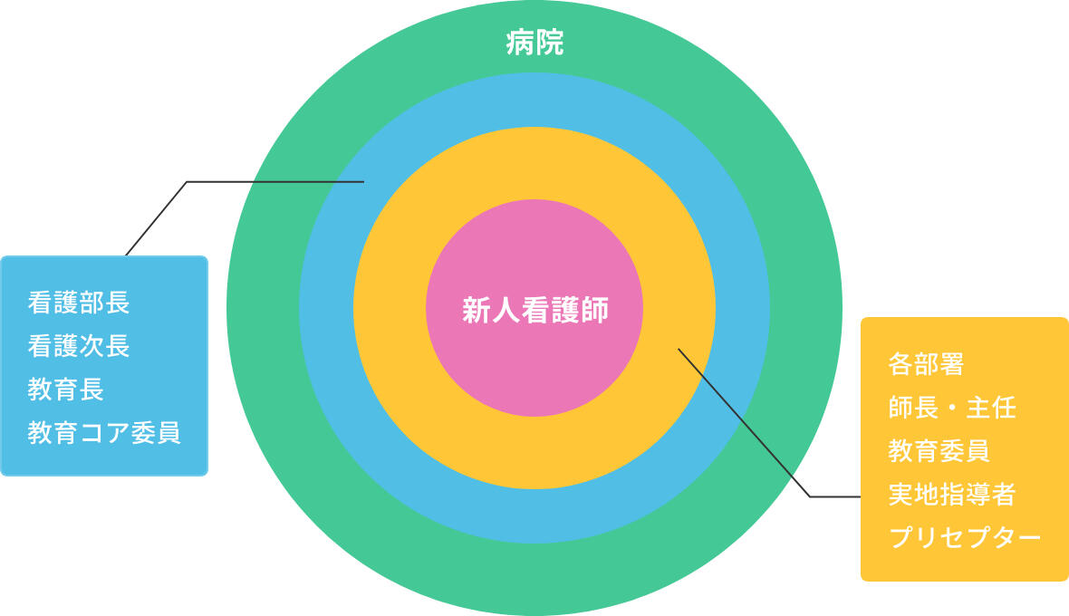 新人看護師を病院全体がサポートしているイメージの図解